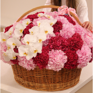 BIG 40 Arrangement in a basket with hydrangeas and phalaenopsis. In the photo 51 pcs.
