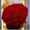 301 pcs.  + 30000.0000 