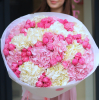 +50%  u 50.0000 
