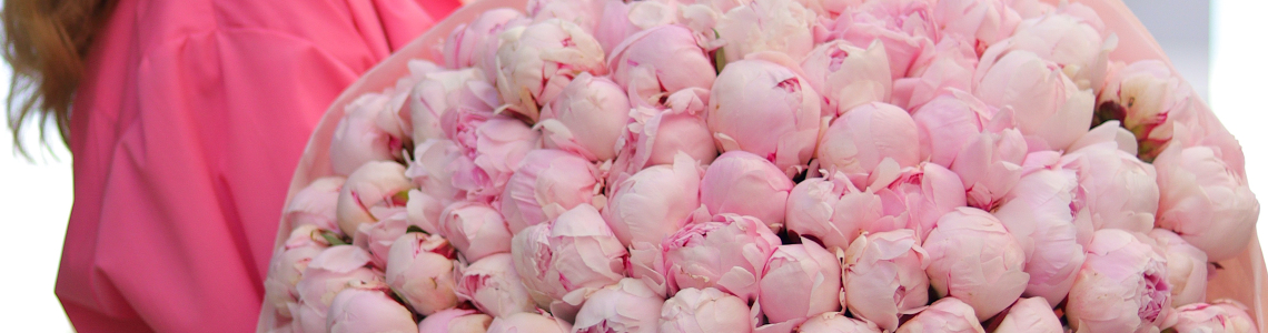 Magical peonies to decorate the interior of your home