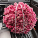 BIG 63 Bouquet of 101 spray peony roses Silva Pink