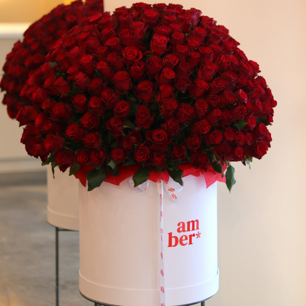 Flower  box of 301 red roses BIG 98