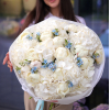 +50%  u 50.0000 