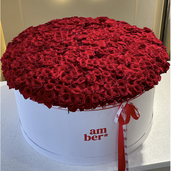 Flower box of 501 red roses BIG 109