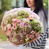 +50%  u 50.0000 