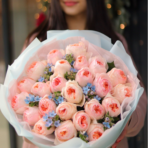Rose Juliet David Austin