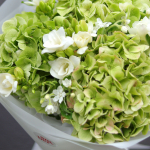Bouquet with hydrangea, freesia and oxypetalum BOUQUET 158