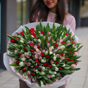 MONO 127 Monobouquet of tulips, in the photo 201 pcs