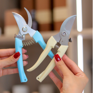 Decor 05 Secateurs for flowers