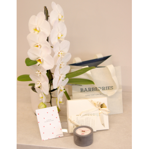 GIFT SET 02