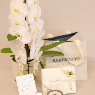 GIFT SET 02