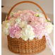 FLOWER BOX 01 Delicate arrangement in a basket with hydrangeas, peonies, freesias and mattiola
