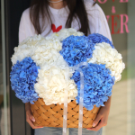 Basket of hydrangeas FLOWER BOX 72
