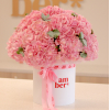 As in the photo  - 13790.0000 