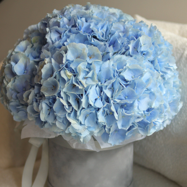 Композиція в коробці з гортензій FLOWER BOX 26