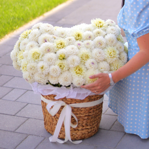 Ніжна композиція у кошику зі 101 жоржини FLOWER BOX 50