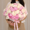 +50%  u 50.0000 