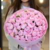 51 pcs.  + 7970.0000 