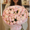 51 pcs.