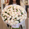51 pcs.  + 7200.0000 