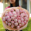 35 pcs.  + 2000.0000 