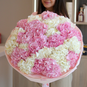 MONO 44 Monobouquet of pink and white hydrangeas 25 pcs