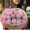 15 pcs.  - 2000.0000 
