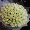 101 pcs.  + 11500.0000 
