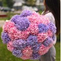 Bouquets of hydrangeas