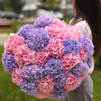 Bouquets of hydrangeas