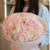 11 pcs.  + 800.0000 