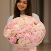 21 pcs.  + 4800.0000 