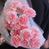 15 pcs.  + 0.0000 