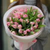 35 pcs.