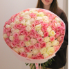 101 pcs.  + 11050.0000 