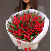 101 pcs.  + 6940.0000 