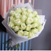 25 pcs.  + 0.0000 