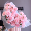 25 pcs.  + 950.0000 