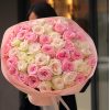 51 pcs.  + 0.0000 