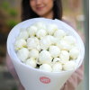 21 pcs.  + 2200.0000 