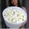 31 pcs.  + 4400.0000 