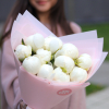 11 pcs.  + 0.0000 