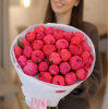 35 pcs.  + 3000.0000 
