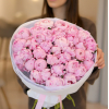 35 pcs.  + 4800.0000 