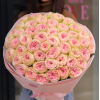 51 pcs.  + 4850.0000 