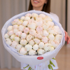 51 pcs.  + 8800.0000 