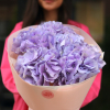 5 pcs.  + 1200.0000 