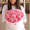 15 pcs.  + 0.0000 