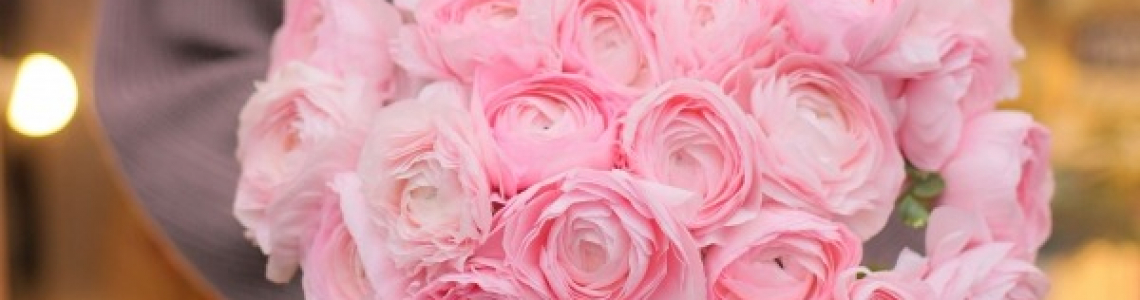 Ranunculus. Favorite winter flowers!