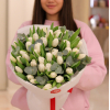 41 pcs.  + 1980.0000 